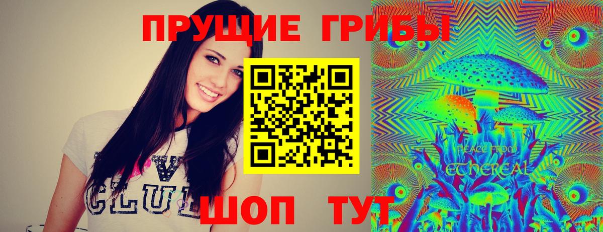 Гай  Галлюциногенные грибы ЛСД  Вход с VPN 