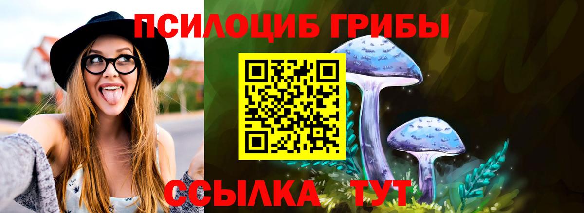 Галлюциногенные грибы Cubensis Гай